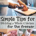 Simple Tips for Dividing a Whole Chicken for the Freezer