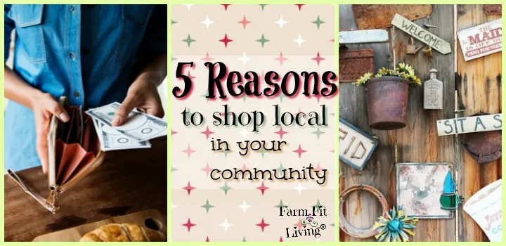 Reasons to Shop Local