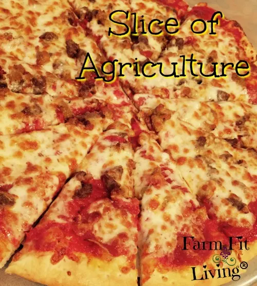 Slice of Agriculture