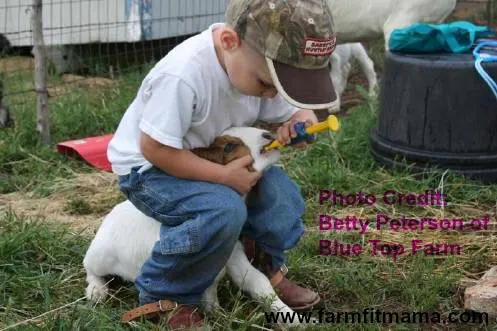 Sweet Beginnings: Skills Kids Learn By Raising Animals - Farm Fit Living