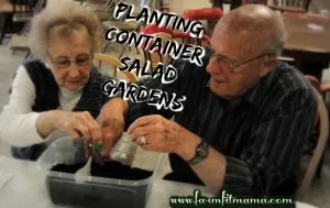 Planting Container Salad Gardens