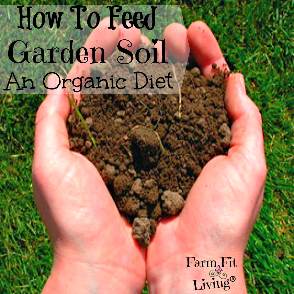 How to Feed Garden Soil an Organic Diet