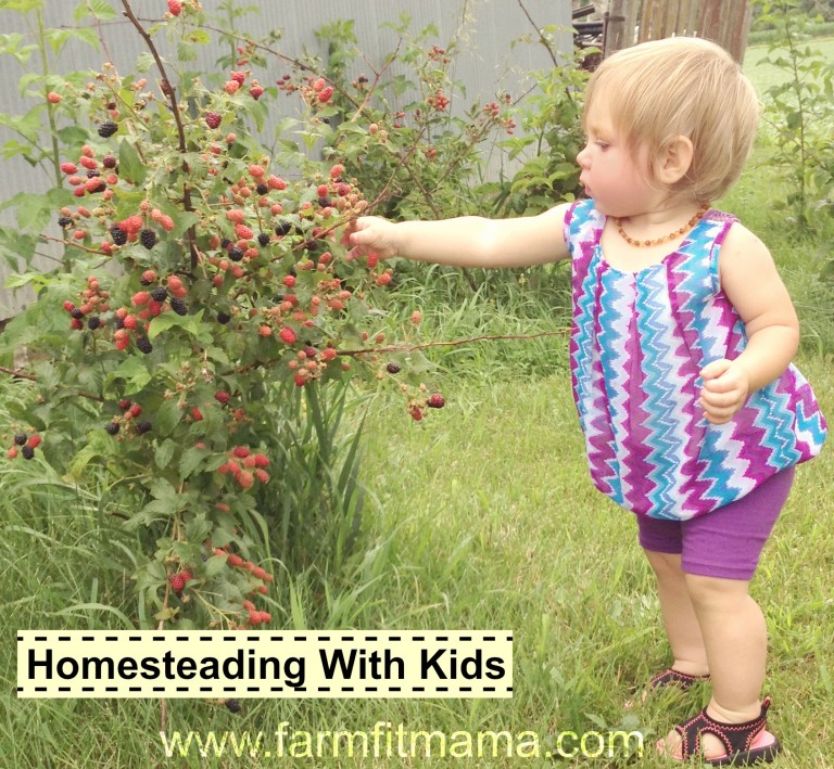 homesteading2
