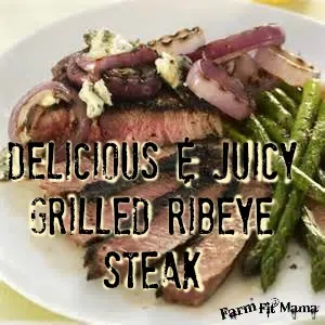 delicious ribeye steak