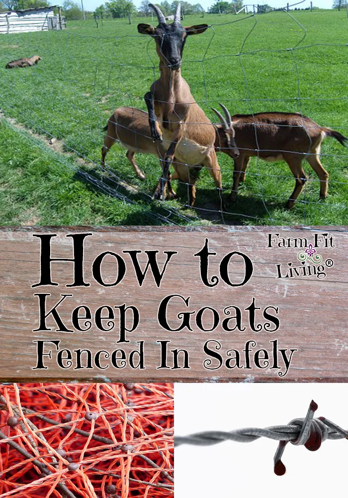 how to keep goats fenced in