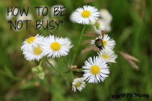 HOW TO BE NOT BUSY