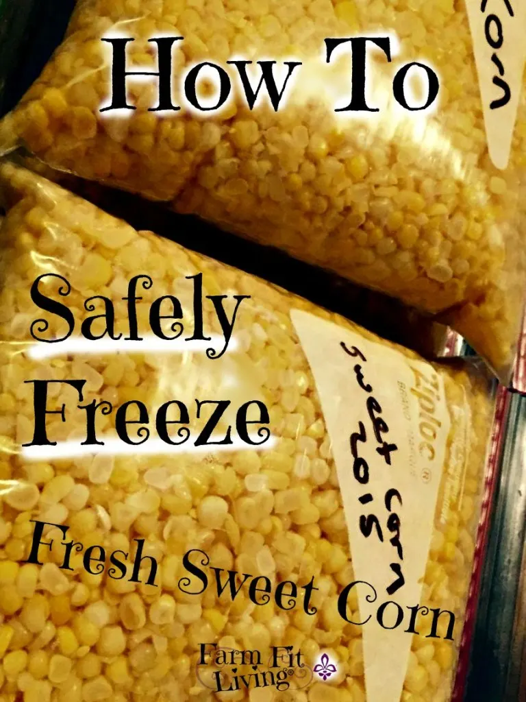 safely freeze fresh sweet corn