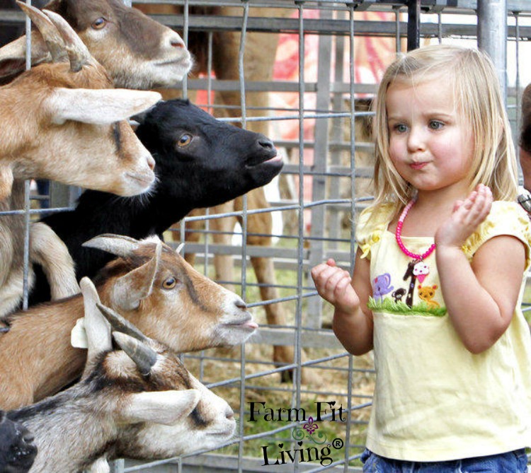 5 Country Family Fun Things To Do This Fall | Farm Fit Living