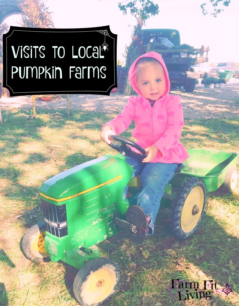 Visits to Local Pumpkin Farms