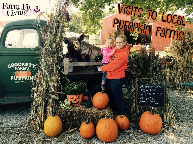 Visits to Local Pumpkin Farms