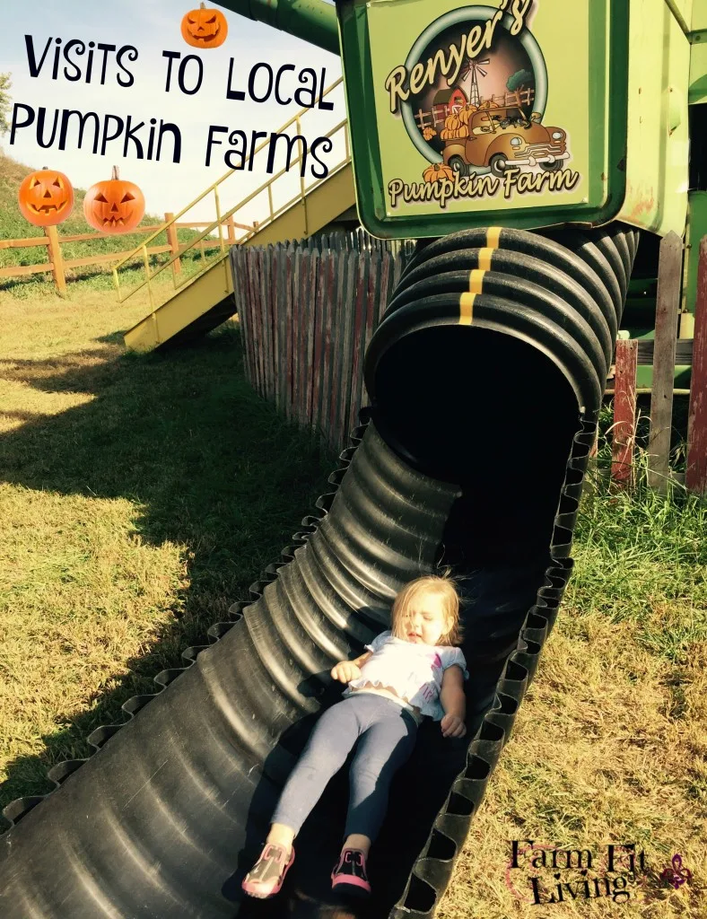 Visits to Pumpkin Farms
