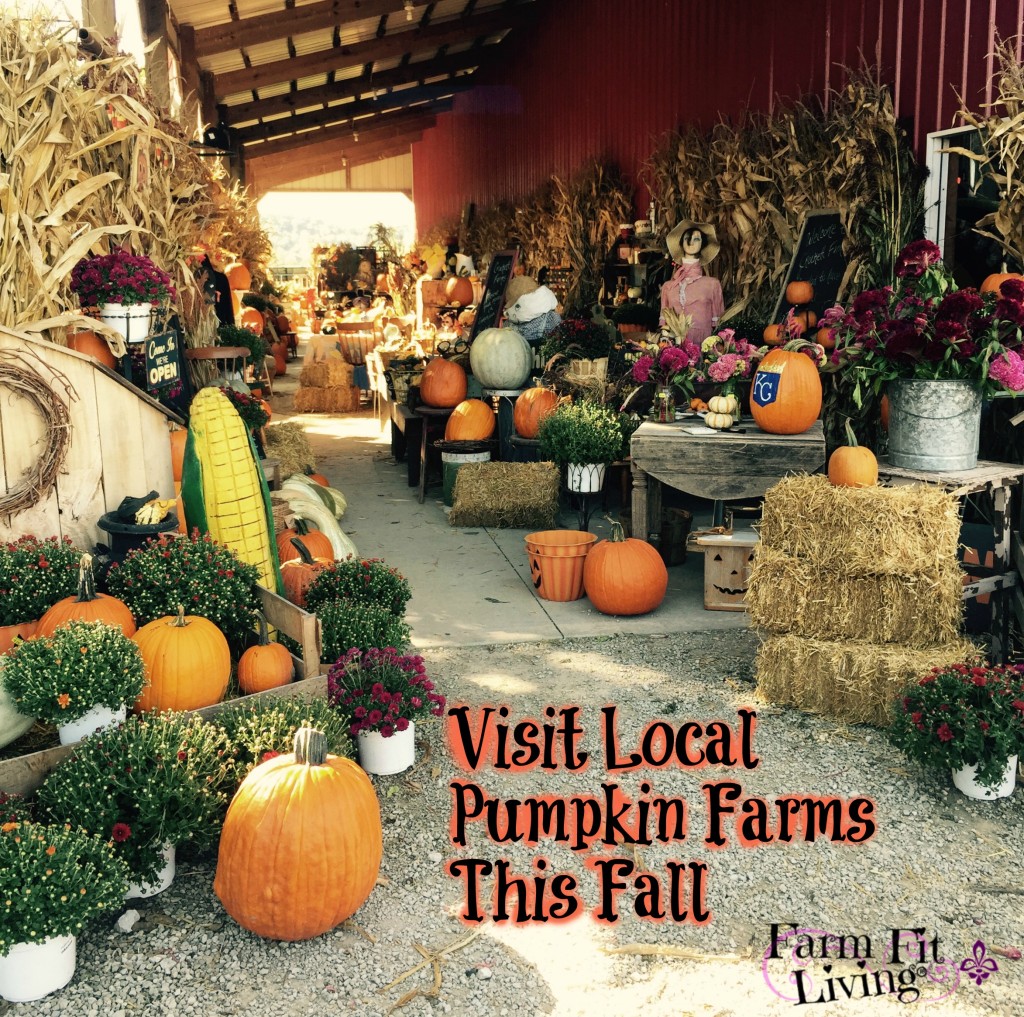 Visits to Local Pumpkin Patches