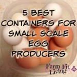 5 Best Containers for small scale egg producers