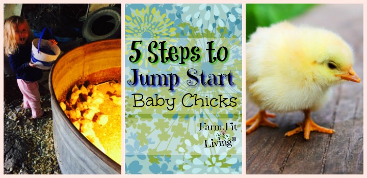 jump start baby chicks