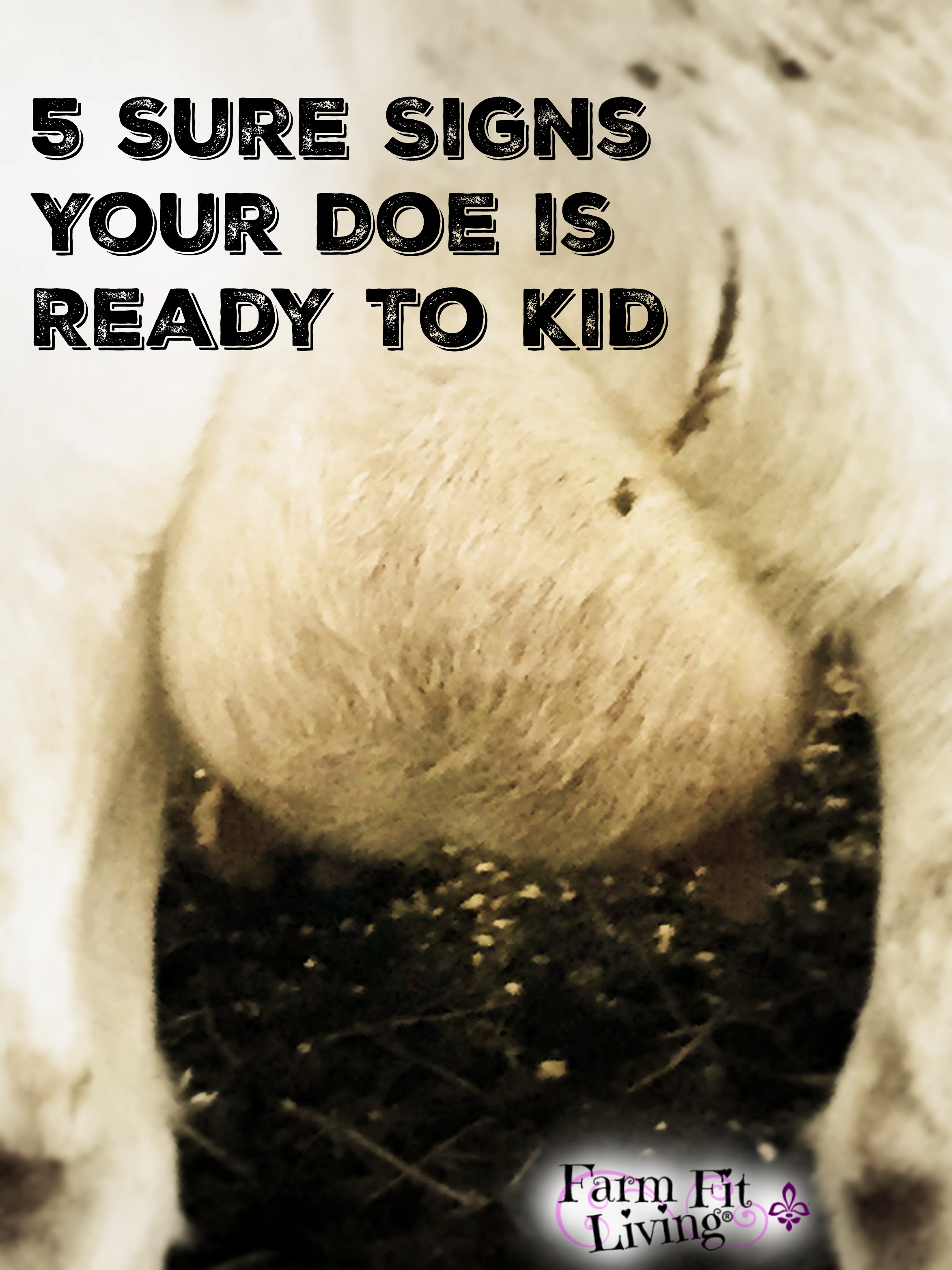 5 Sure Signs Your Doe Is Ready To Kid