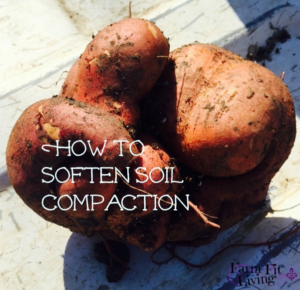 How to Soften Soil Compaction