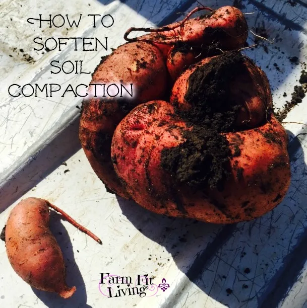 How to Soften Soil Compaction