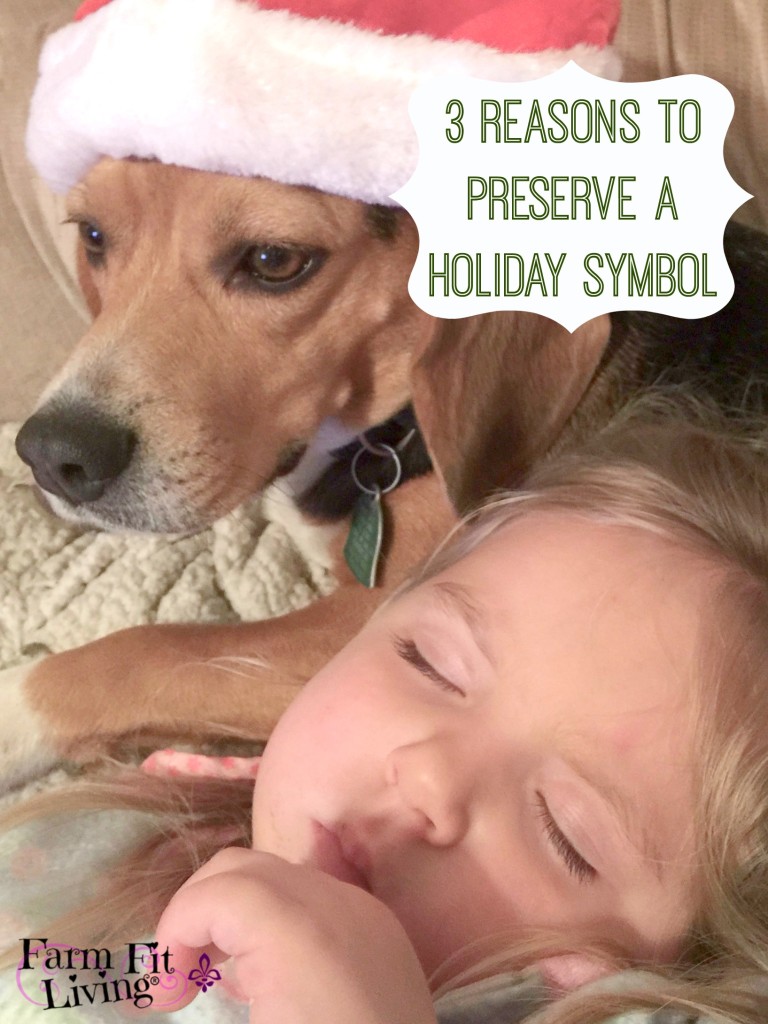 3 Reasons to Preserve A Holiday Symbol