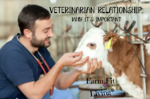 veterinarian relationship