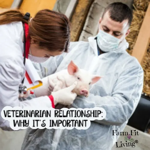 Veterinarian Relationship