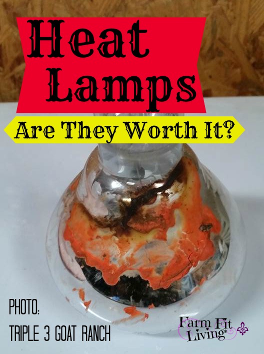 heat lamps