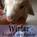 winter goat care guide