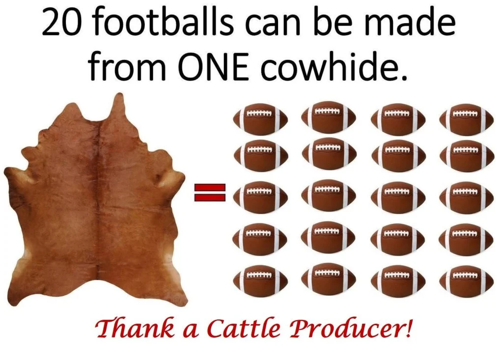 Agriculture & Football