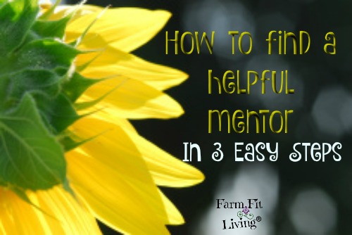 Helpful Mentor