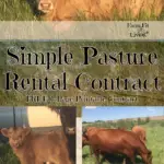 simple pasture rental contract