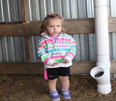 Diy Goat Mineral Feeder For Loose Mineral Farm Fit Living