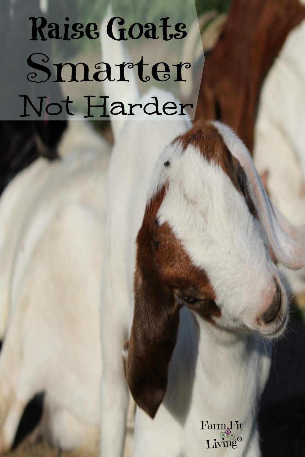 7 Ways to Raise Goats Smarter Not Harder | Farm Fit Living