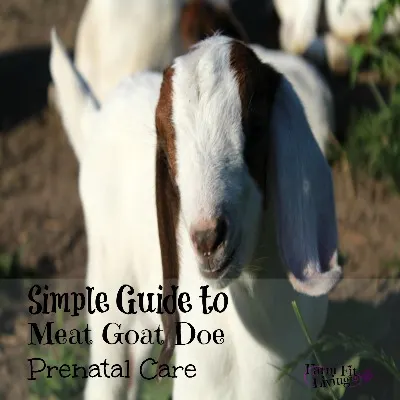 doe prenatal care