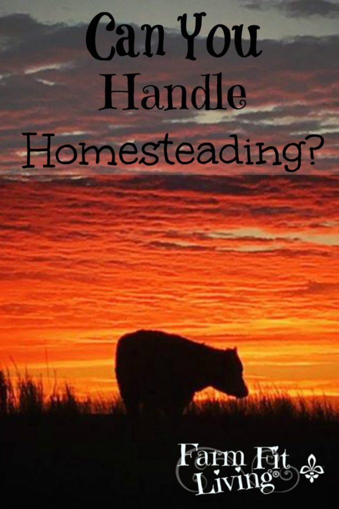handle homesteading