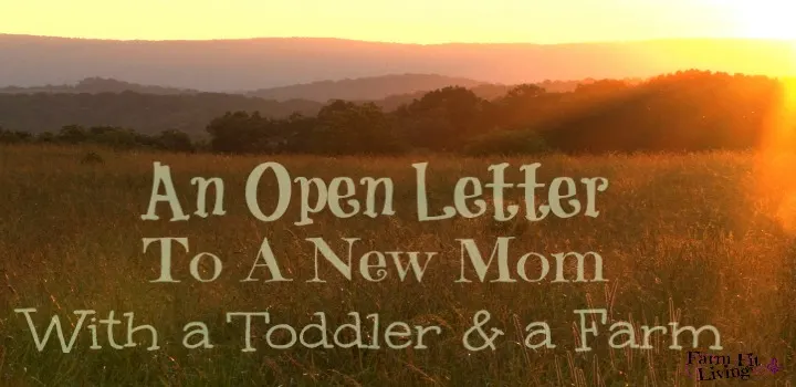 an open letter