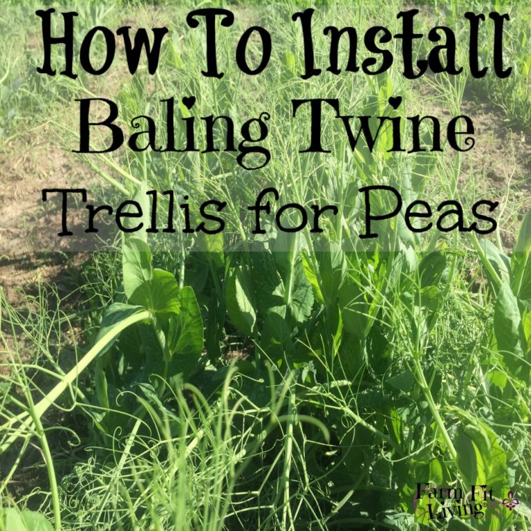 Baling Twine Trellis