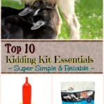 Kidding Kit Essentials