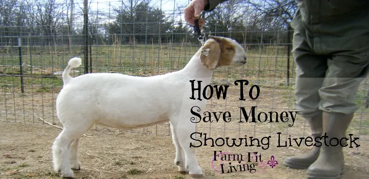 Save Money Showing Livestock