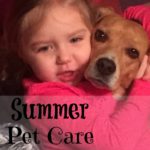 summer pet care guide