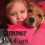summer pet care guide