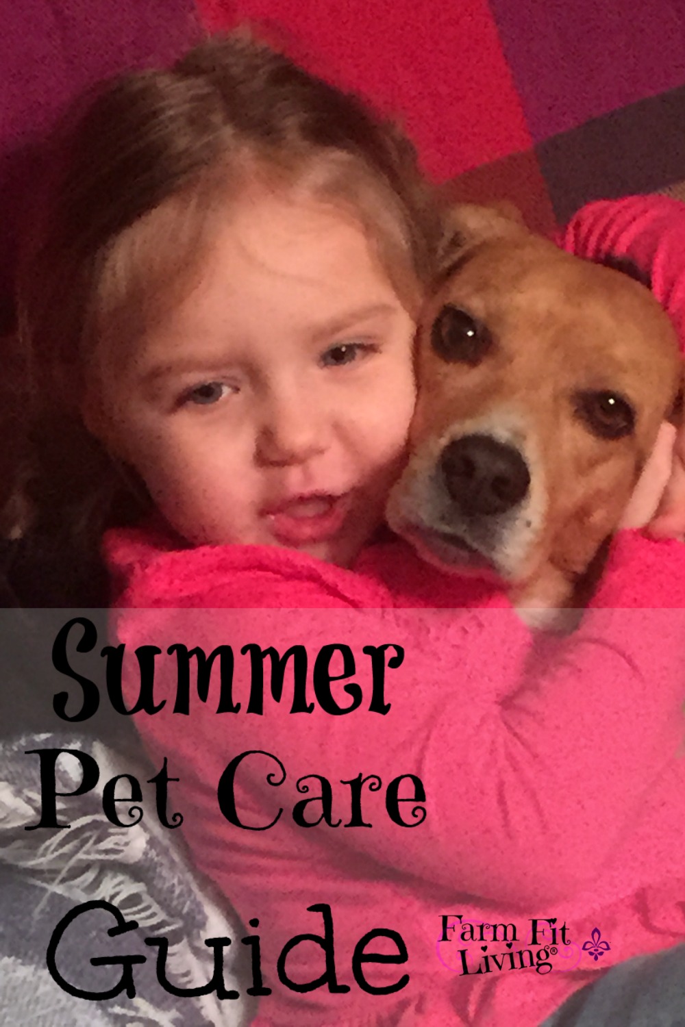 Summer Pet Care Guide | Farm Fit Living
