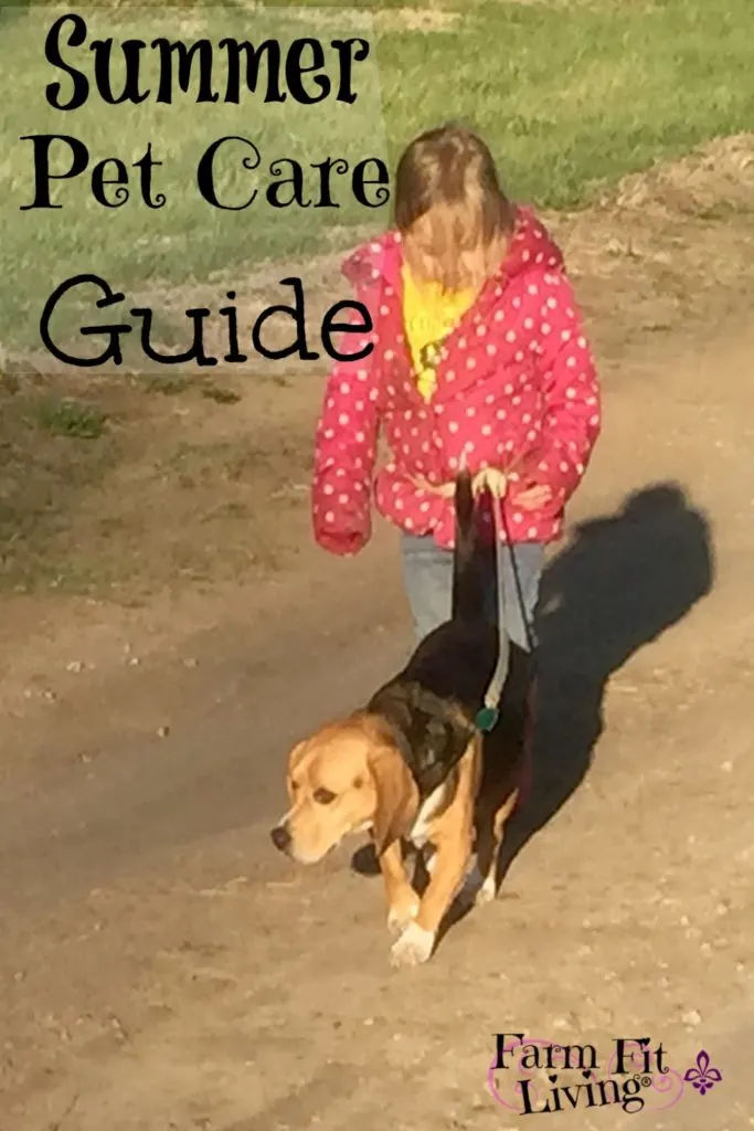 Summer Pet Care Guide