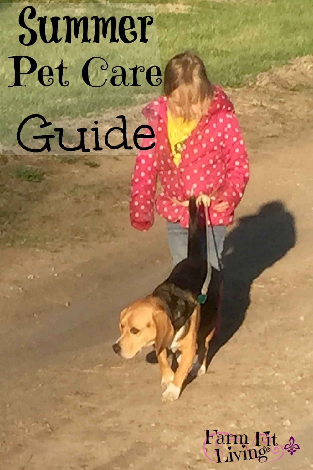 Summer Pet Care Guide | Farm Fit Living