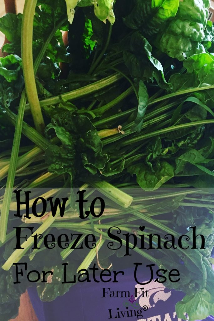 freeze spinach