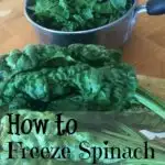 freeze spinach for later use