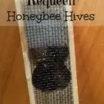 Requeen Queenless Honeybee Hives