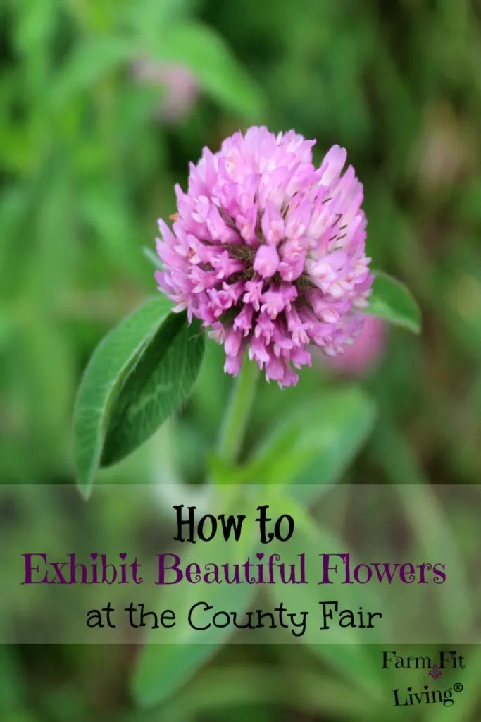 County Fair Flower Exhibitor Guide