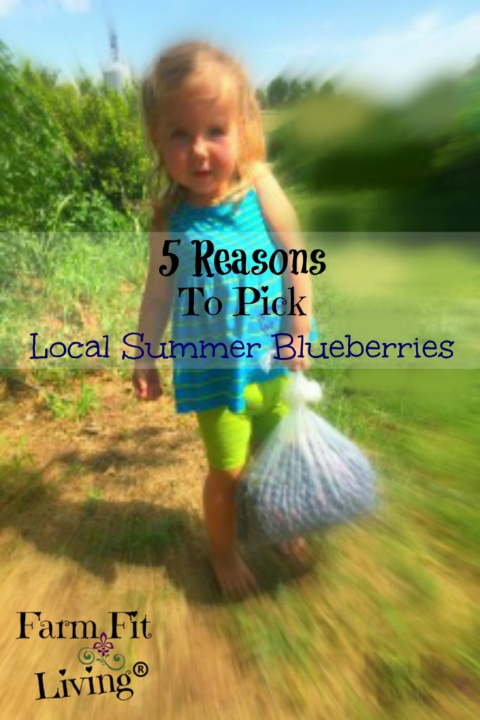 pick local summer blueberries
