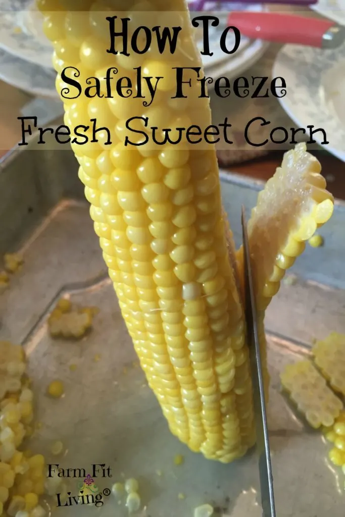 safely freeze fresh sweet corn