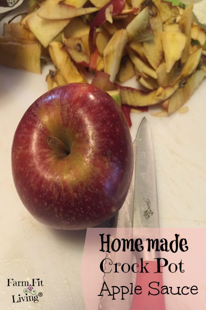 Homemade Crock Pot Apple Sauce