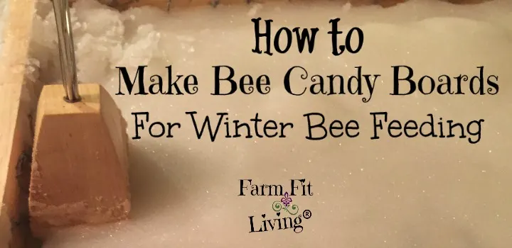 Make Bee Candy Boards